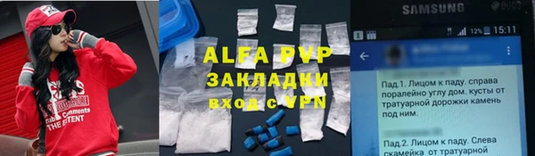 молекула духа Балахна