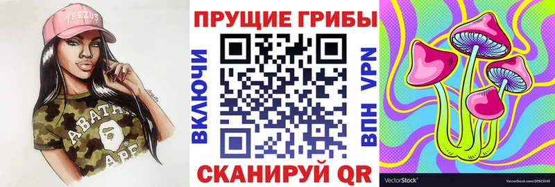 ссылка на мегу ссылки  наркотики  Приволжск  Псилоцибиновые грибы Psilocybine cubensis 